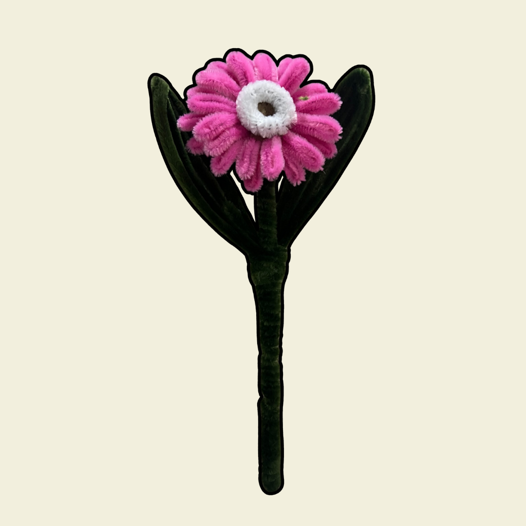 Gerbera Daisy Stalk