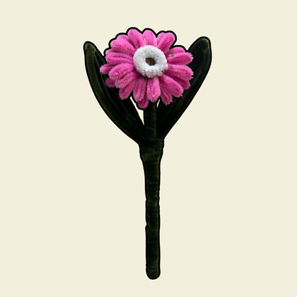 Gerbera Daisy Stalk