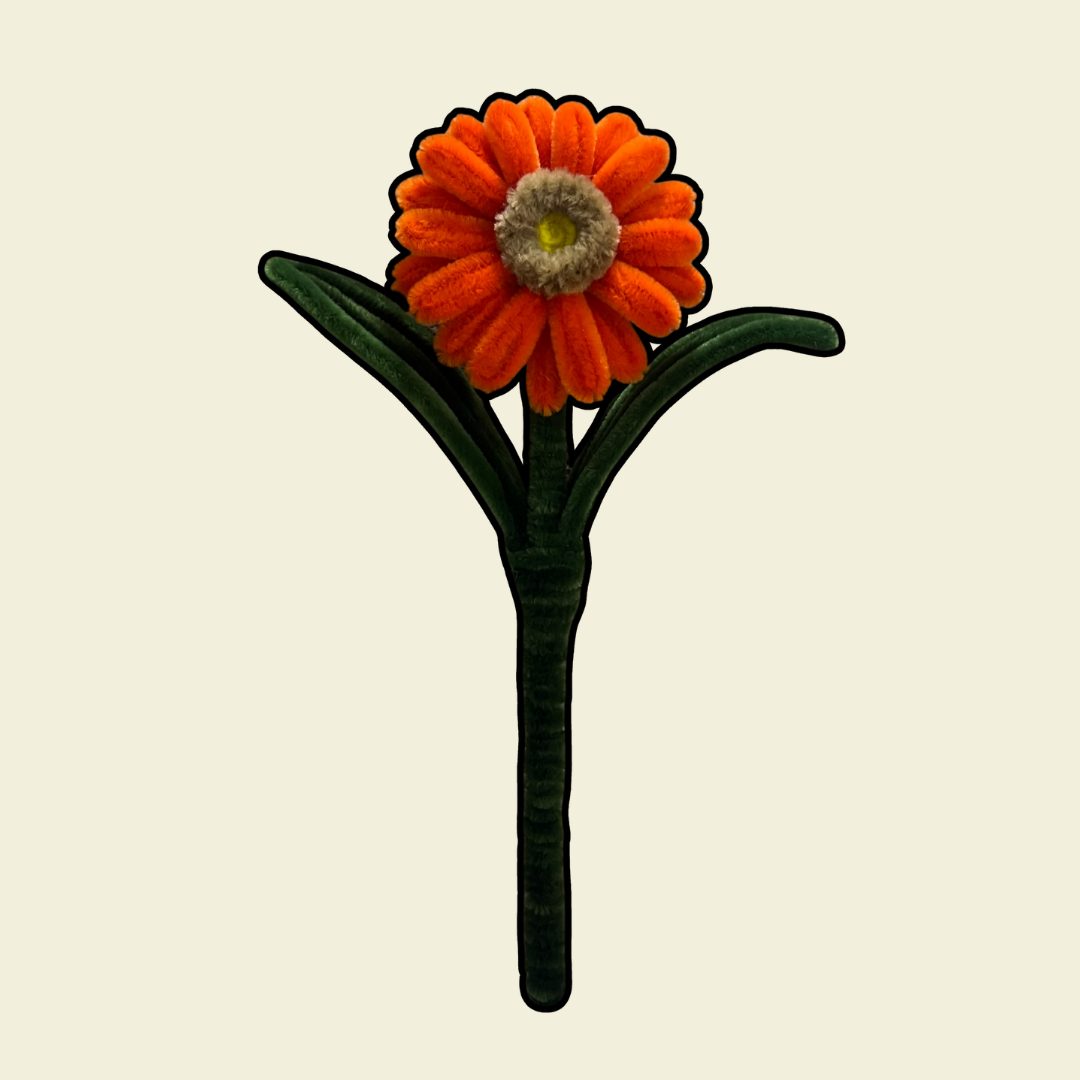 Gerbera Daisy Stalk