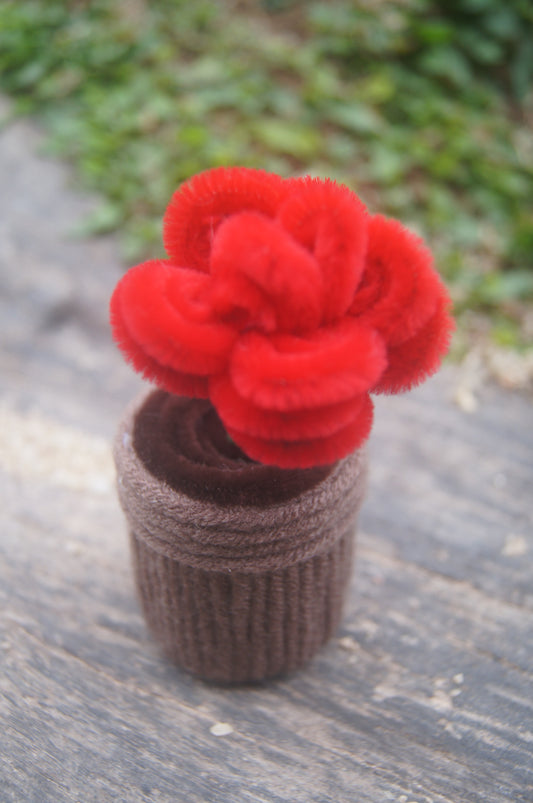 Mini Rose