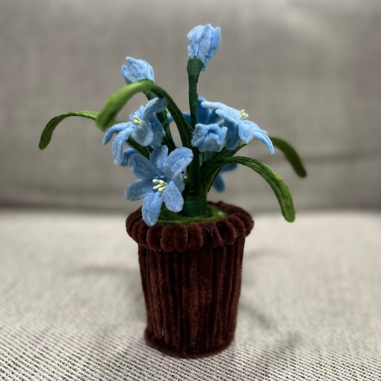 Mini Orchid Pot