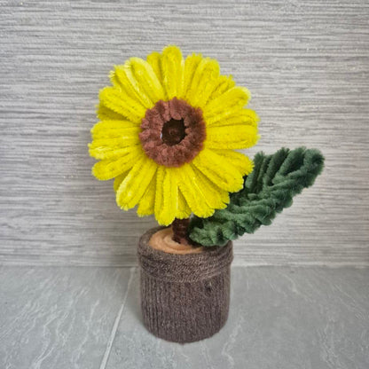 "You Are My Sunshine" Pot