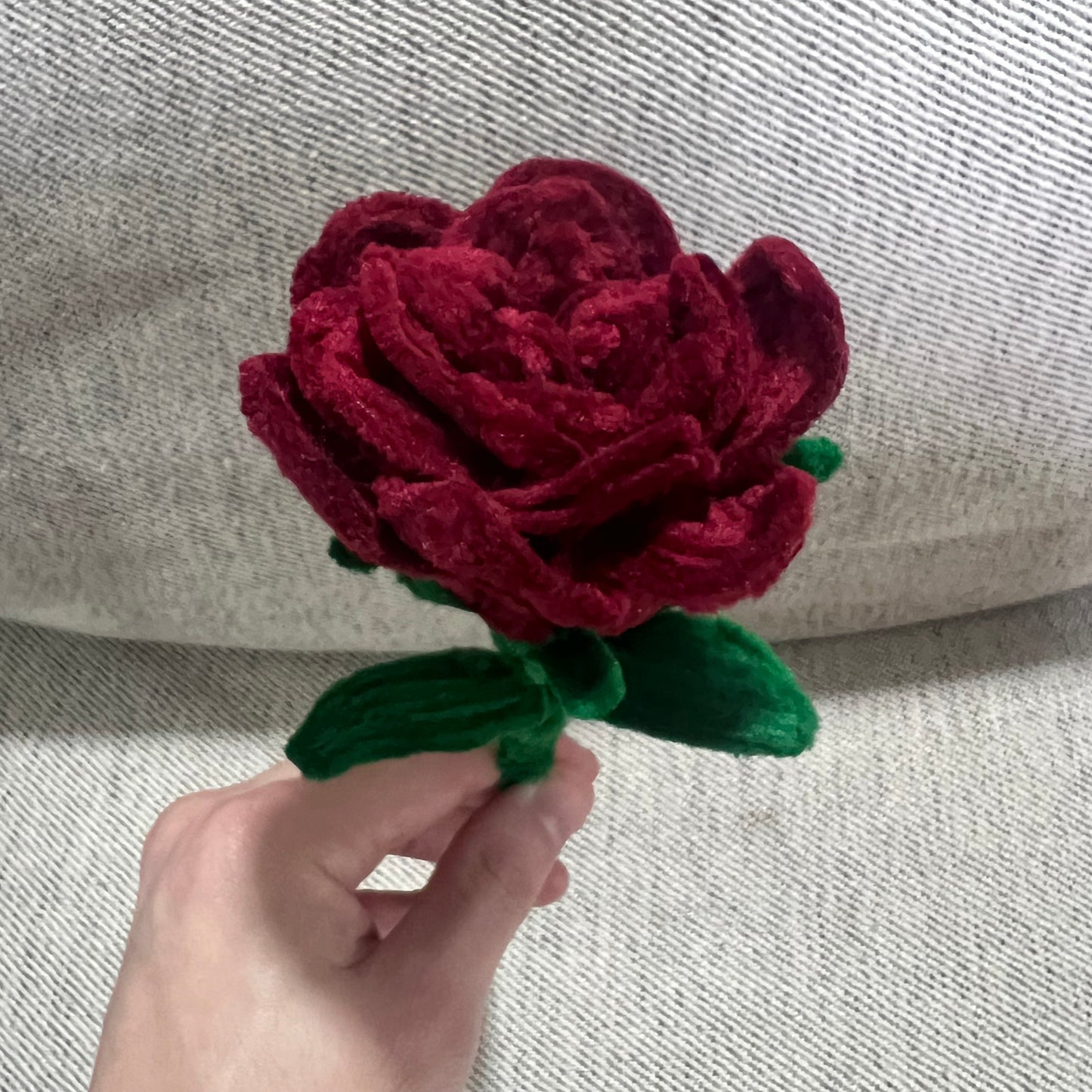 Queen of Hearts - Rose Stalk