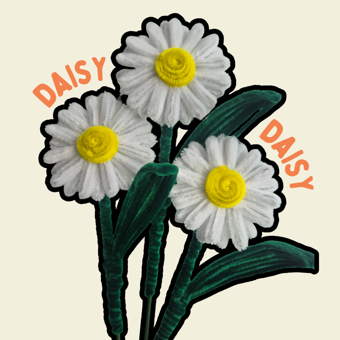 Daisy Stalk