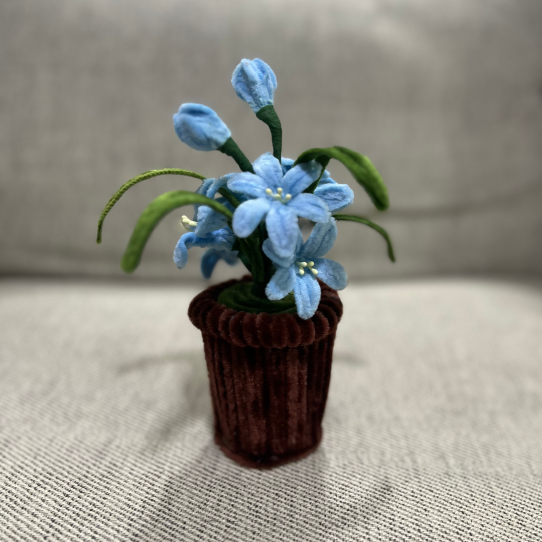 Mini Orchid Pot